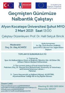 Ulusal Ajans